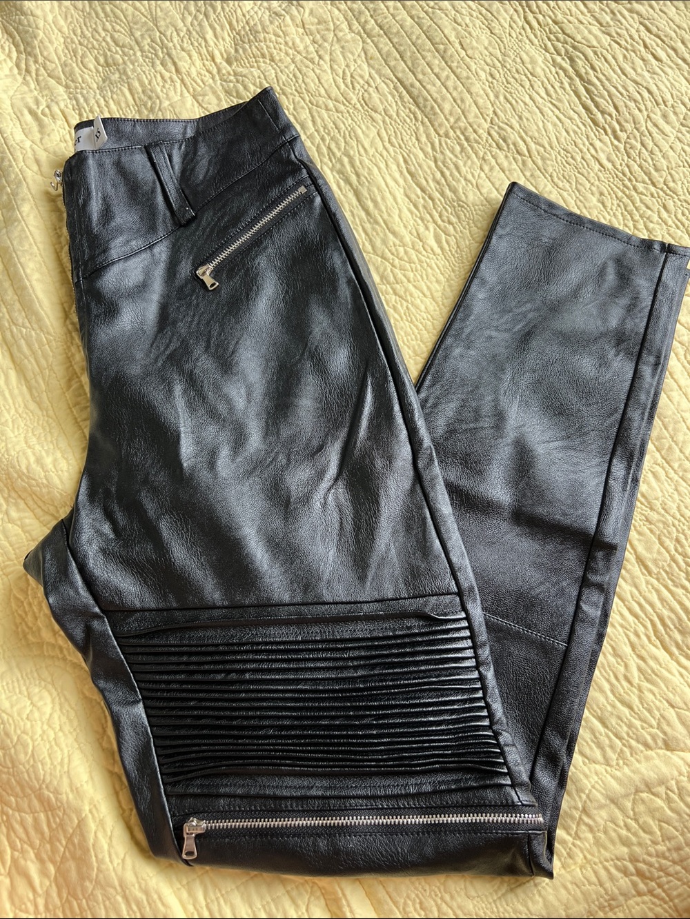 Tiger Mist Moto Faux Leather Pants